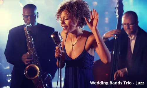 wedding-bands-trio-jazz